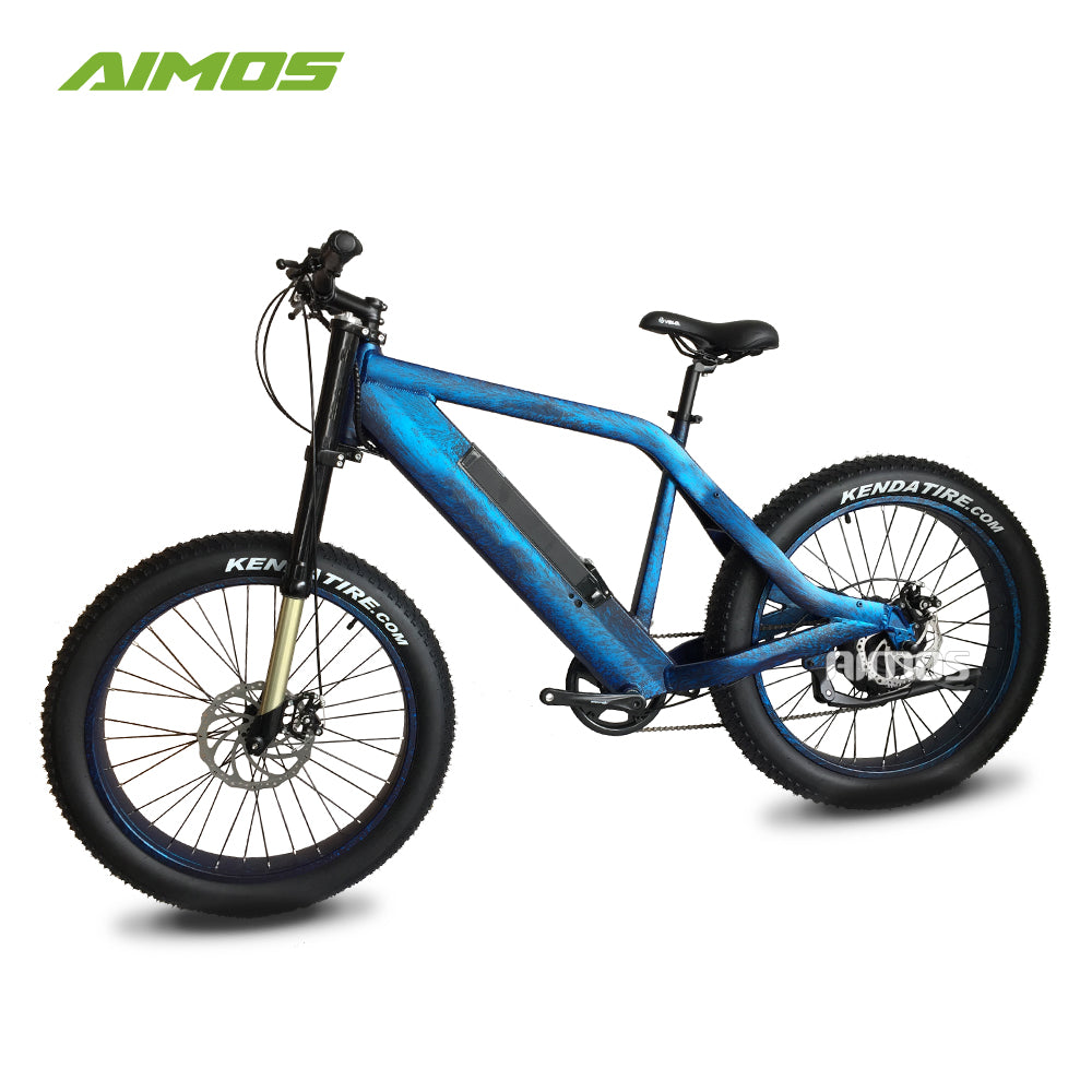 Changzhou bike electric bike 48v 500w electric bicycle