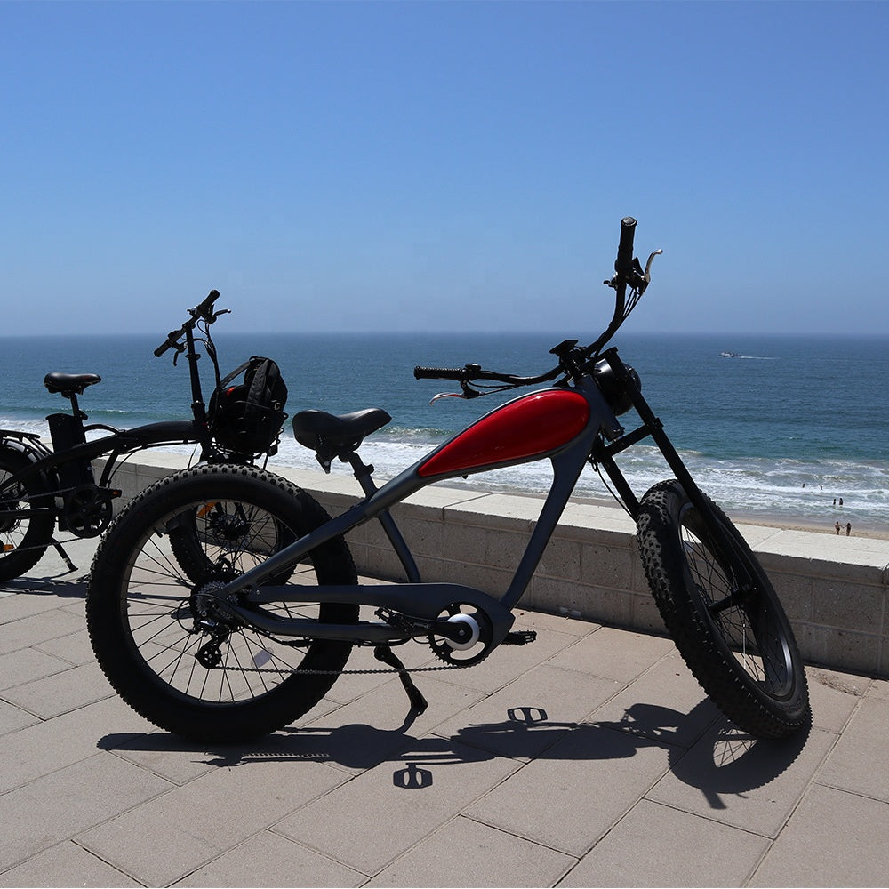 Bisek New Design Big Tires Leopard Ebike Innovative Electric Bike With CE For Adults