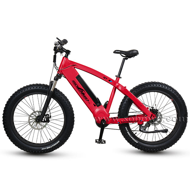 48V 1000W Bafang BBSHD Mid Drived Motor Bike With LCD Display