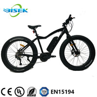 Electric fat tire mountain bike/stealth bomber electric bike with mid driving motor