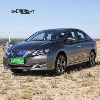 High Speed Electric Car  Electric vehicle With Air Conditioner For Adult