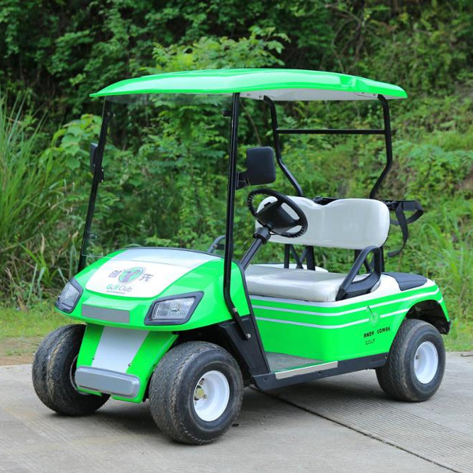 Environment Friendly 2 Seater Electric Golf Cart Mini Club Car