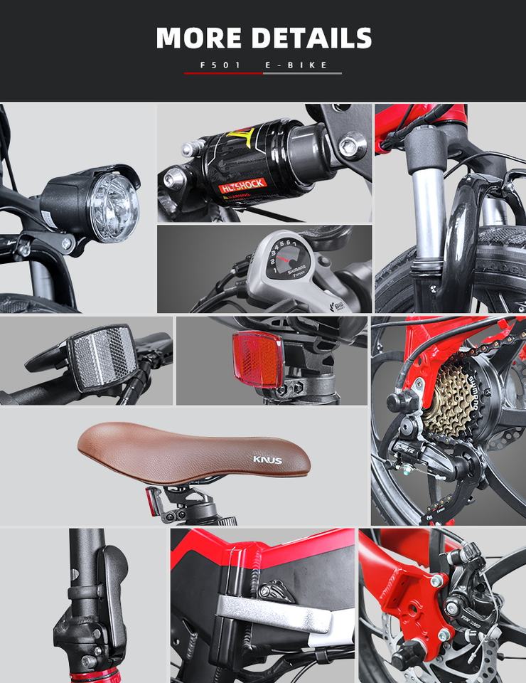 ECO-FLYING adult folding bike small ebike women electric bike 36v 10ah 250w e bicycle electric bike bicycle electric bicycle