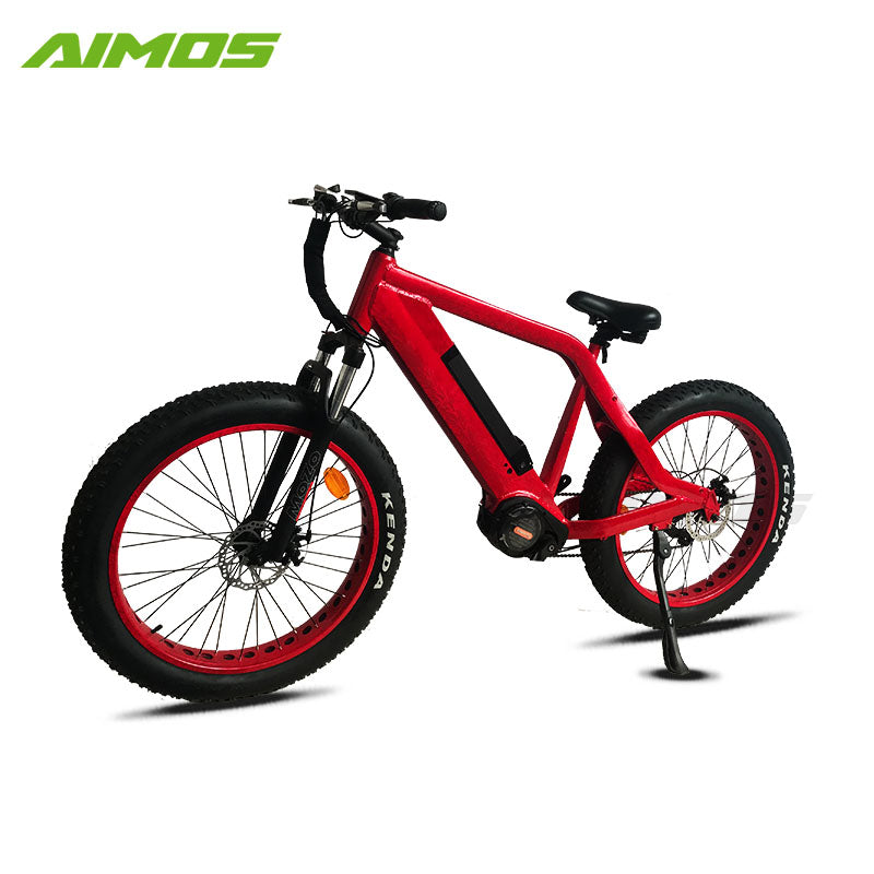 hidden battery electric bike bicycle with sopked wheels