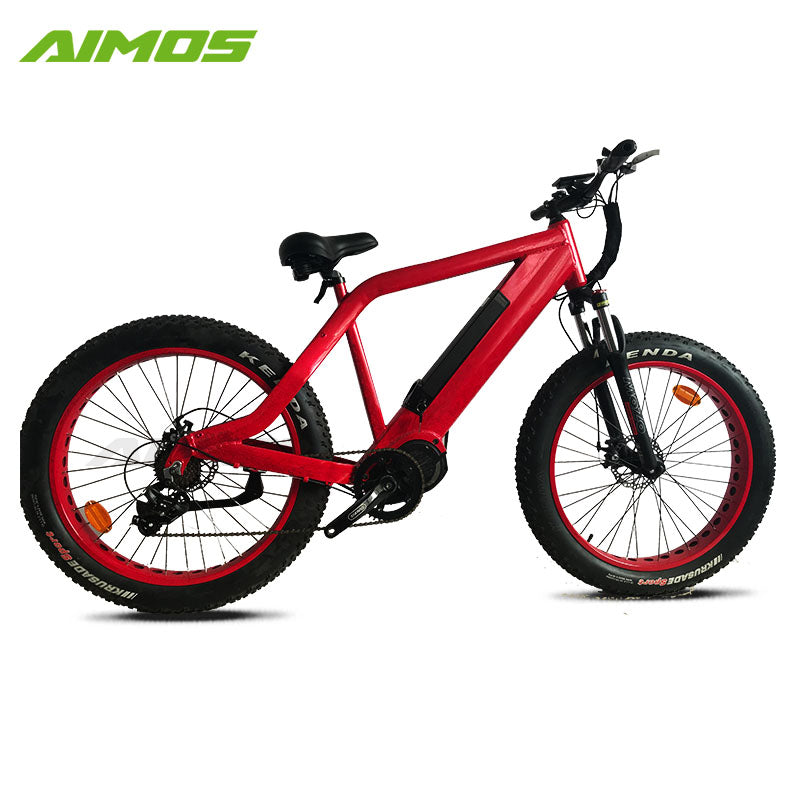hidden battery electric bike bicycle with sopked wheels