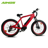hidden battery electric bike bicycle with sopked wheels