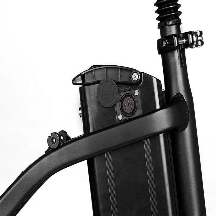 EU Warehouse elektrische fiets 48V 10AH Lithium Battery Electric Bicycle Folding Freego e-Bike