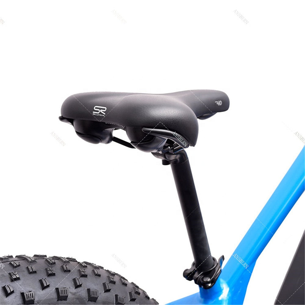 New Arrivals China Ansbern Bafang MM G510 48V 750W/1000W Cheap Mid Drive Fat Tire Electric Bike Mountain