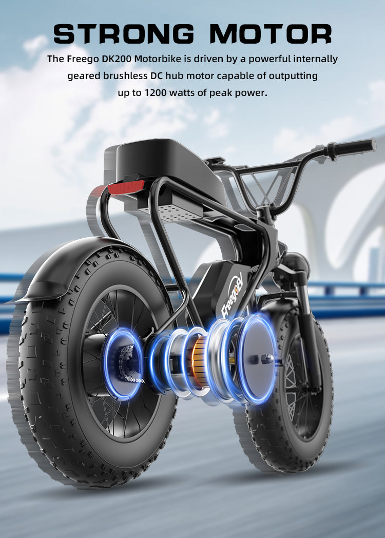 Freego  electric fat tire bike 1000w powerful electric bike 20ah USA warehouse stock electric mountain bike