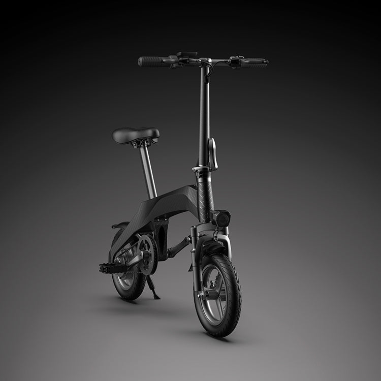 Extraordinary EcoRider E6-2 Electric Bicycle 350W Electric Bike Sports E-Bike (US Warehouse)