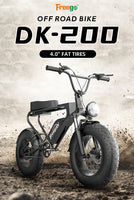 Freego  electric fat tire bike 1000w powerful electric bike 20ah USA warehouse stock electric mountain bike