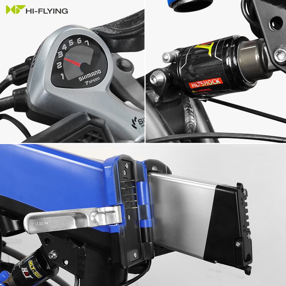 ECO-FLYING adult folding bike small ebike women electric bike 36v 10ah 250w e bicycle electric bike bicycle electric bicycle