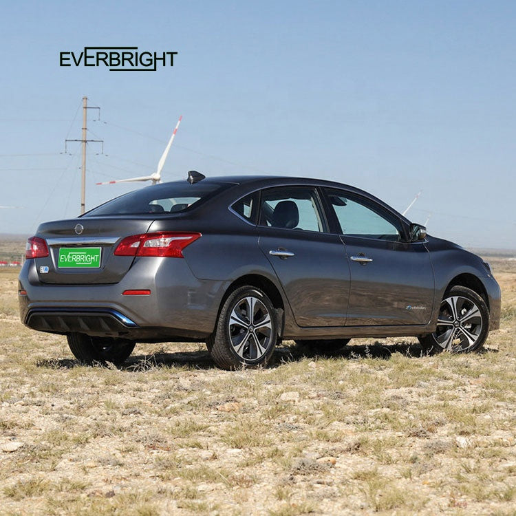 High Speed Electric Car  Electric vehicle With Air Conditioner For Adult