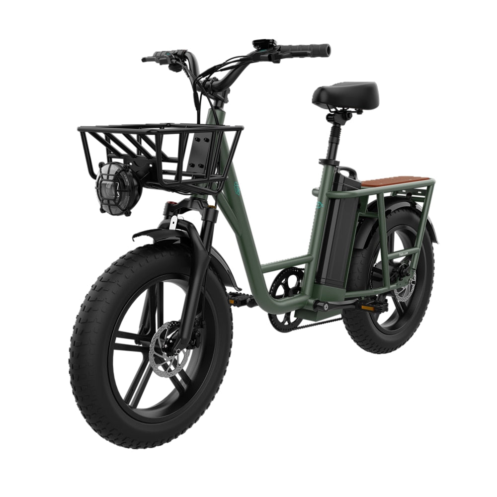 Fiido T1 Utility Electric Bike The Multi Purpose E Bike with