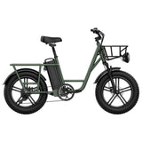 Fiido T1 Utility Electric Bike - The Multi-Purpose E-Bike with Impressive Power and Carrying Capacity for Comfortable and Safe Riding