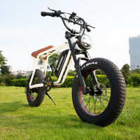 High Quality ZHENGBU S5 20 Inch 1000W 48V 10AH 15AH 20AH Ebike Mountain 20*4.0&quot; Fat Tire Retro Vintage Electric Bike