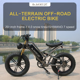 20in Traveling electric assisted bicycle 48v750w motor 17.5AH lithium battery Double shock Beach snow fat electric bicycle