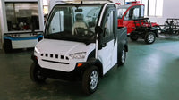 New Electric Car Electric Utility Vehicle with Cargo Box