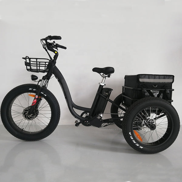 24 inch electric trike fat tire 3 wheels electric tricycle adult cargo electric tricycle with baskets