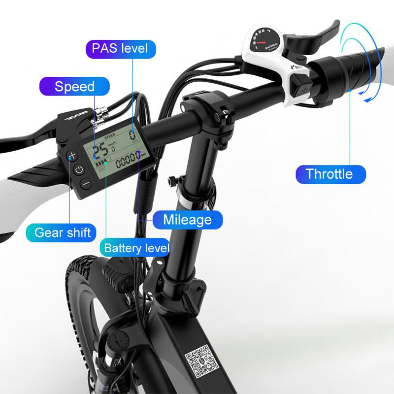 G660 20 Inch Powerful Electric Bicycle, 400W 48V 10.4Ah/14.5Ah Lithium Battery, With LCD Display & Rear Carrier, Dual Disc Brakes