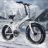 electric bicyc 20inch Electric snow car bicycle 48V15AH lithium battery hidden in frame500W high speed motor fold elect