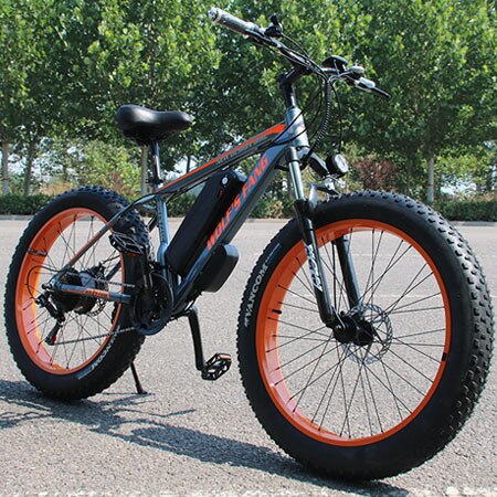 Wolf's fang Dual Disc Brake  Electric Bike City electric bike Lithium Battery Bicycle 48V500W 13AH ebike Ladies free delivery easy-smart-way.myshopify.com