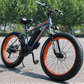 Wolf's fang Dual Disc Brake  Electric Bike City electric bike Lithium Battery Bicycle 48V500W 13AH ebike Ladies free delivery easy-smart-way.myshopify.com