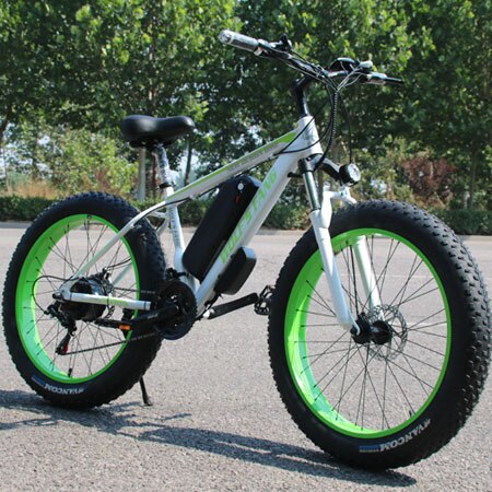 Wolf's fang Dual Disc Brake  Electric Bike City electric bike Lithium Battery Bicycle 48V500W 13AH ebike Ladies free delivery easy-smart-way.myshopify.com