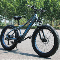 wolf's fang Electric Bike 48V 500W Motor 10/13Ah 27 speed Aluminum Folding Electric Bicycle hidden lithium battery electric bike easy-smart-way.myshopify.com