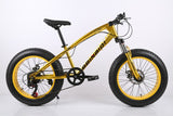 20 inch fat bike children kid fat tire mountain bike Beach cruiser bicycle high quality carbon steel disc brake big wheel MTB