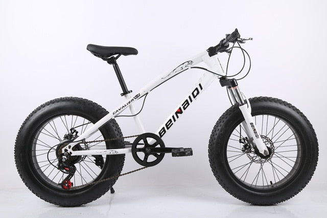 20 inch fat bike children kid fat tire mountain bike Beach cruiser bicycle high quality carbon steel disc brake big wheel MTB