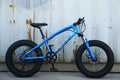 20 inch fat bike children kid fat tire mountain bike Beach cruiser bicycle high quality carbon steel disc brake big wheel MTB