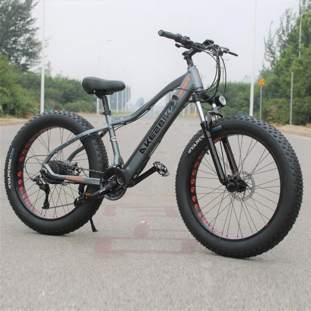 electric Bicycle 750 W 26 Inch 4.0 Fat Tire Snow Mountain Bike Lithium Battery Aluminum Alloy Ebike 350 W Adult