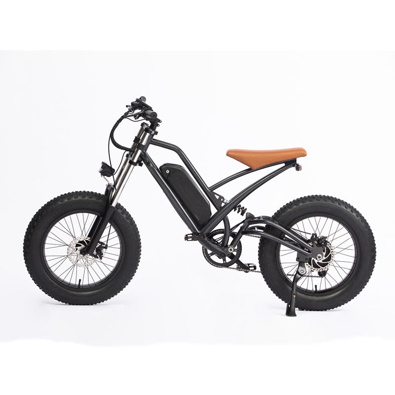 20in Traveling electric assisted bicycle 48v750w motor 624wh lithium battery Double shock  Beach snow fat electric bicycle