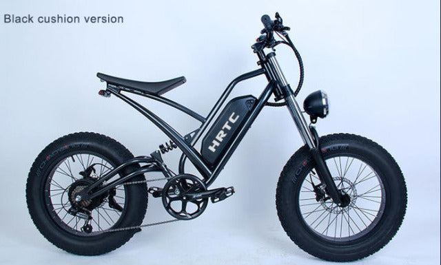 20in Traveling electric assisted bicycle 48v750w motor 624wh lithium battery Double shock  Beach snow fat electric bicycle