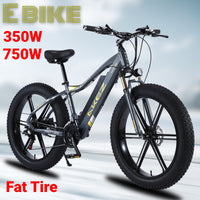 electric Bicycle 750 W 26 Inch 4.0 Fat Tire Snow Mountain Bike Lithium Battery Aluminum Alloy Ebike 350 W Adult
