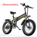 Janobike H20 Electric Bicycle 48V 1000W Motor Panasonic Battery E Bikes 20 Inch 4.0 Fat Tie  Men Women's Mountain Snow City Bike