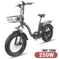 Electric Bike 20 Inch Foldable 4.0 Fat Tire Ebike 48V1000W Electric Bicycle 250W Mountain Power Assisted Electric Men's Bike