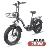 Electric Bike 20 Inch Foldable 4.0 Fat Tire Ebike 48V1000W Electric Bicycle 250W Mountain Power Assisted Electric Men's Bike