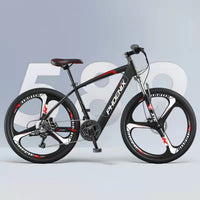 Electric Eicycle, 26 Inch, Men and Women E Bike , Small Electric Powered Mountain Bike Lithium Battery, 250W, 36V, 40-70km