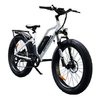 AOSTIRMOTOR NEW Electric Bike 750W Motor Bicycle 48V 13Ah Battery Ebike 26In Fat Tire Electric Mountain Bike With Rear Shelf