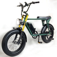 Duty Free SMLRO E4 Ebike Electric Bike 1000W 48V Motor Big Power Fat Tire Mountain Bicycle with 9W Headlight