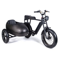 20Inch Electric Power-Assisted Bicycle 48V/15AH Battery 750W Motor Electric Side Tricycle Children Side Bucket