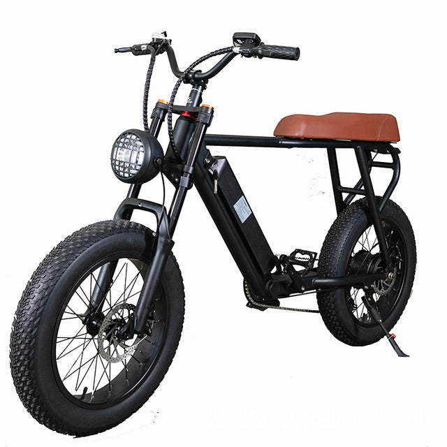 20Inch Electric Power-Assisted Bicycle 48V/15AH Battery 750W Motor Electric Side Tricycle Children Side Bucket