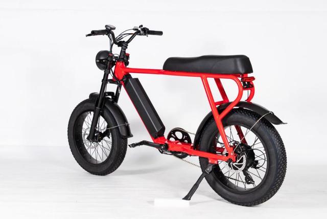 20Inch*4.0 Power-Assisted Electric Bicycle  250W Motor 48V*15AH Battery Road Electric Bike
