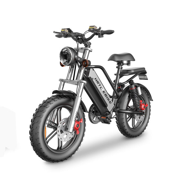 20inch fat tire snow electric bicycle 48v removable lithium battery 750w dual motor drive adult power-assisted mountain ebike