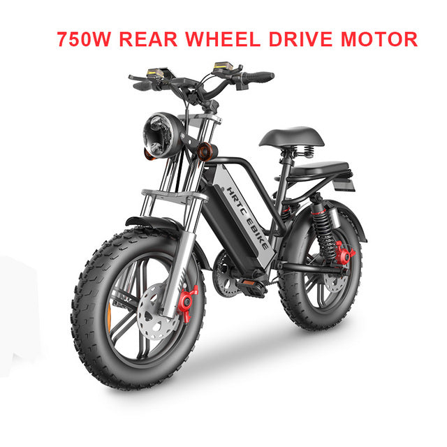 20inch fat tire snow electric bicycle 48v removable lithium battery 750w dual motor drive adult power-assisted mountain ebike