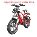 20inch fat tire snow electric bicycle 48v removable lithium battery 750w dual motor drive adult power-assisted mountain ebike