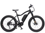 Custom 26inch Snow Ebike 48V 1000W Bafang mid motor electric mountain bicycle  smart lcd  fat ebike snow tires off-road bicycle easy-smart-way.myshopify.com